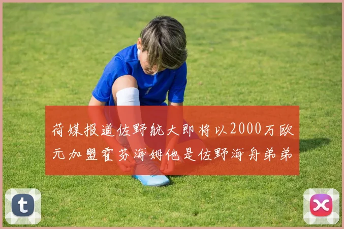 荷媒报道佐野航大即将以2000万欧元加盟霍芬海姆他是佐野海舟弟弟